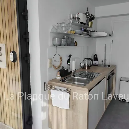 La Planque Du Raton Laveur