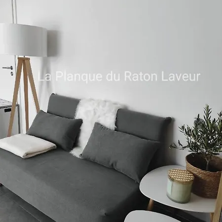 La Planque Du Raton Laveur *