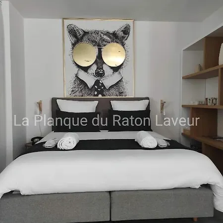La Planque Du Raton Laveur 公寓式酒店 Lierneux