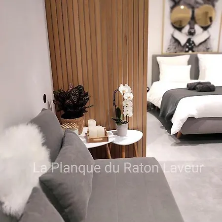 La Planque Du Raton Laveur Aparthotel