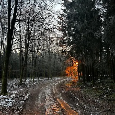 La Planque Du Raton Laveur