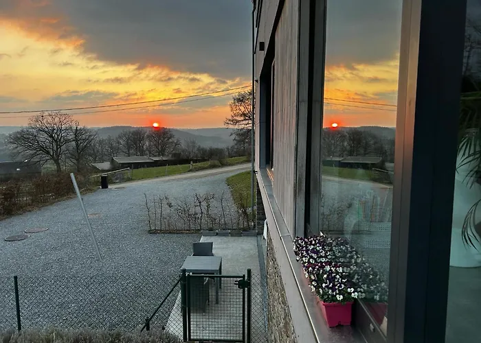 La Planque Du Raton Laveur