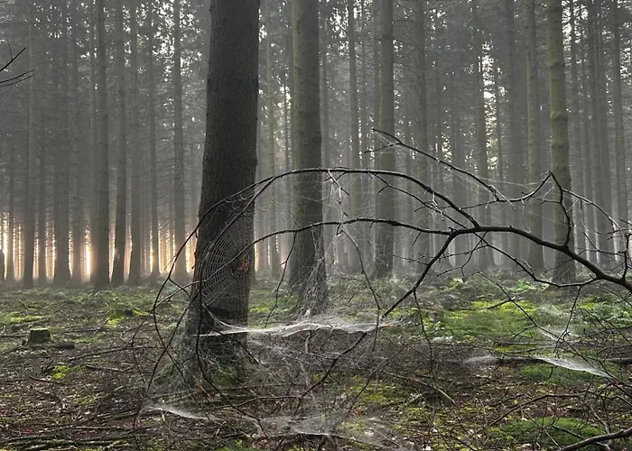 아파트호텔 La Planque Du Raton Laveur 4*